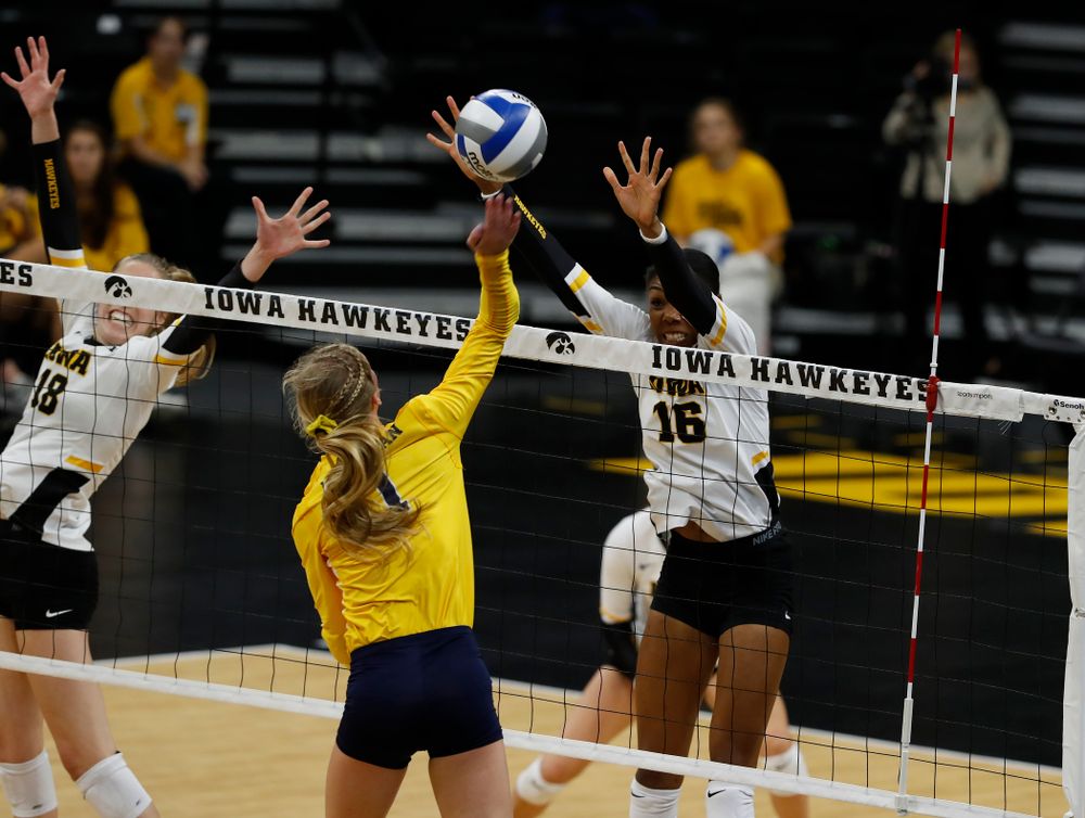 Iowa Hawkeyes outside hitter Taylor Louis (16) against the Michigan Wolverines Sunday, September 23, 2018 at Carver-Hawkeye Arena. (Brian Ray/hawkeyesports.com)