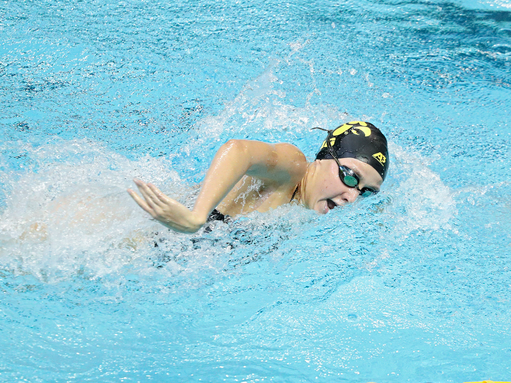Iowa’s Macy Rink swims the women’s 100-yard freestyle event during their meet against Michigan State and Northern Iowa at the Campus Recreation and Wellness Center in Iowa City on Friday, Oct 4, 2019. (Stephen Mally/hawkeyesports.com)