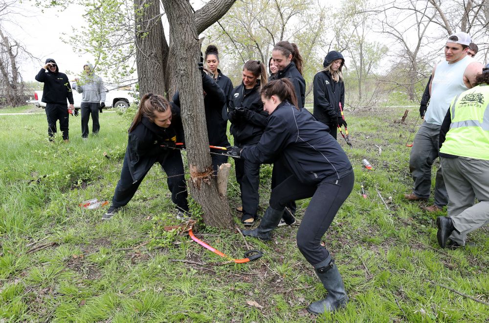 Members of the WomenÕs Soccer team volunteer with the Iowa City Public Works department along the Iowa River during the annual Iowa Athletics Day of Caring Sunday, April 28, 2019 in Iowa City. (Brian Ray/hawkeyesports.com)