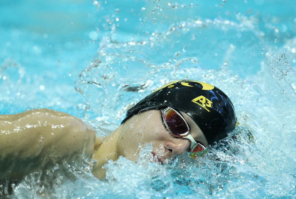 Iowa's Andrew Fierke swims the 500 yard freestyle Thursday, November 15, 2018 during the 2018 Hawkeye Invitational at the Campus Recreation and Wellness Center. (Brian Ray/hawkeyesports.com)