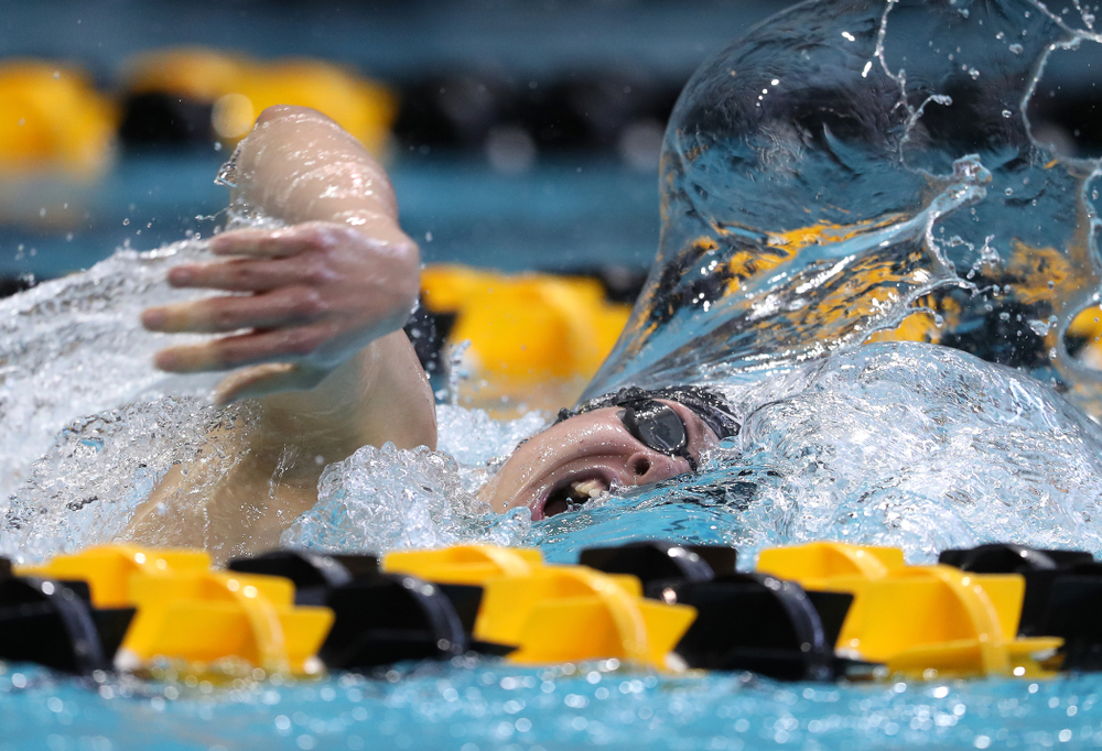 Iowa's Mateusz Arndt swims in the preliminaries of the 500-yard freestyle during the 2019 Big Ten Swimming and Diving Championships Thursday, February 28, 2019 at the Campus Wellness and Recreation Center. (Brian Ray/hawkeyesports.com)
