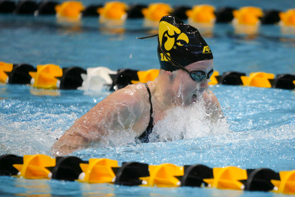 Julia Koluch during Iowa women’s swimming and diving vs Rutgers on Friday, November 8, 2019 at the Campus Wellness and Recreation Center. (Lily Smith/hawkeyesports.com)