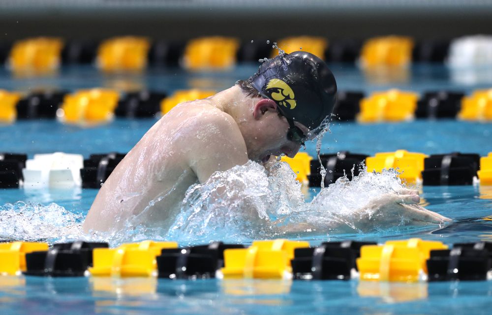 Iowa's Dolan Craine competes in the 200-yard breaststroke during the 2019 Big Ten Men's Swimming and Diving Championships Saturday, March 2, 2019 at the Campus Wellness and Recreation Center. (Brian Ray/hawkeyesports.com)