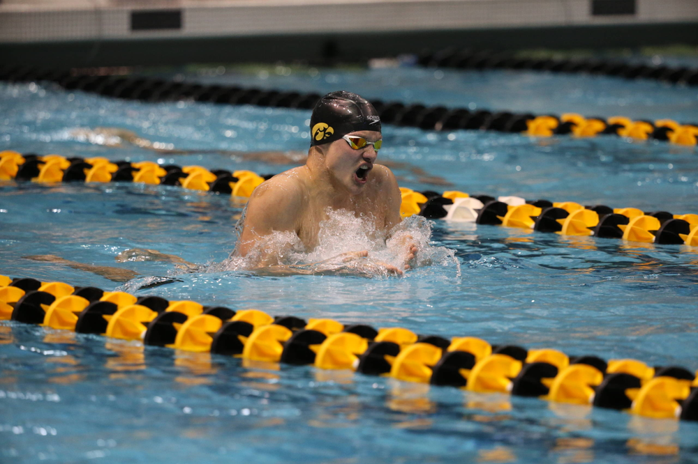 Iowa's Anze Fers Erzan at the 400-yard medley race Friday, March 1, 2019 at the Campus Recreation and Wellness Center. (Lily Smith/hawkeyesports.com)