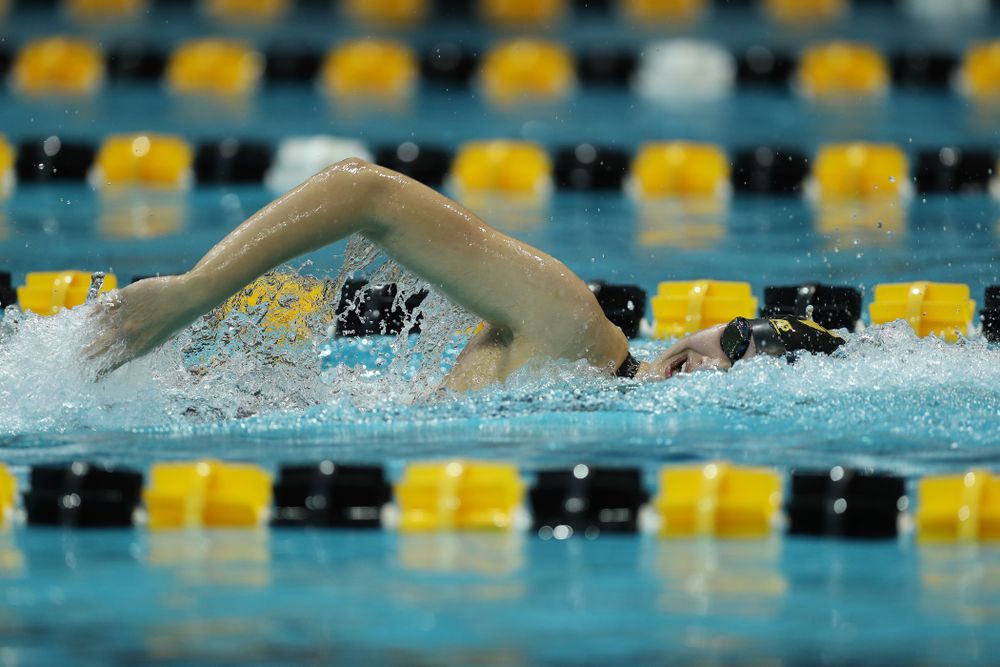 Iowa's Hannah Burvill swims the 500 Yard Freestyle Thursday, November 15, 2018 during the 2018 Hawkeye Invitational at the Campus Recreation and Wellness Center. (Brian Ray/hawkeyesports.com)