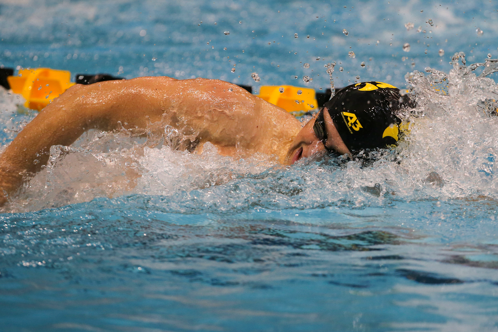 Iowa’s Jackson Allmon during Iowa swim and dive vs Minnesota on Saturday, October 26, 2019 at the Campus Wellness and Recreation Center. (Lily Smith/hawkeyesports.com)