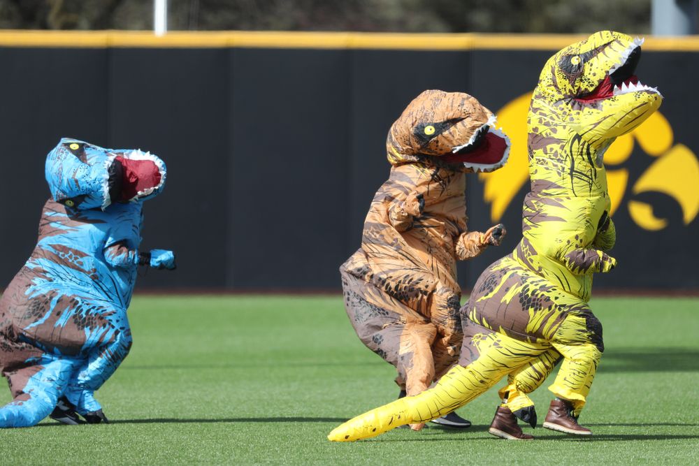 The Iowa Baseball T-Rex Race against California State Northridge Sunday, March 17, 2019 at Duane Banks Field. (Brian Ray/hawkeyesports.com)