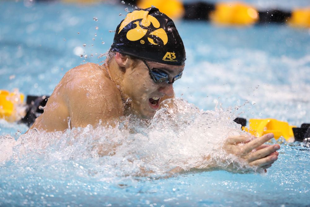 Iowa's Daniel Swanepoel swims the breaststroke leg of the 200 yard medley relay during a double dual against Wisconsin and Northwestern Saturday, January 19, 2019 at the Campus Recreation and Wellness Center. (Brian Ray/hawkeyesports.com)