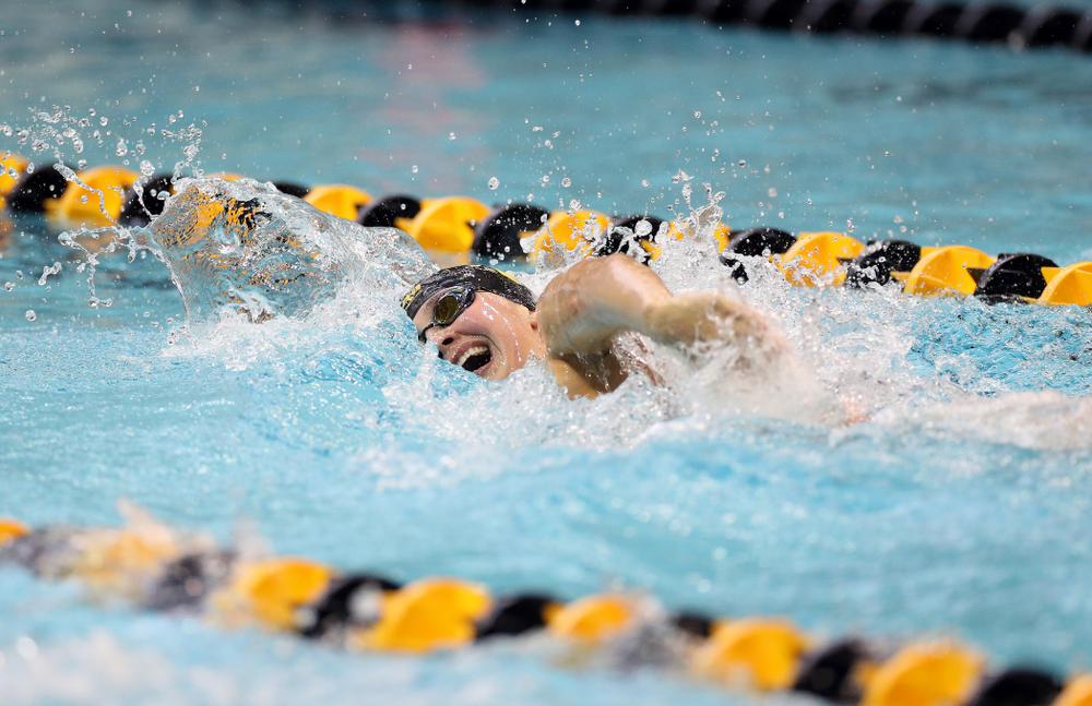 IowaÕs Hanna Burvill swims the 200 yard freestyle agains the Michigan Wolverines Friday, November 1, 2019 at the Campus Recreation and Wellness Center. (Brian Ray/hawkeyesports.com)