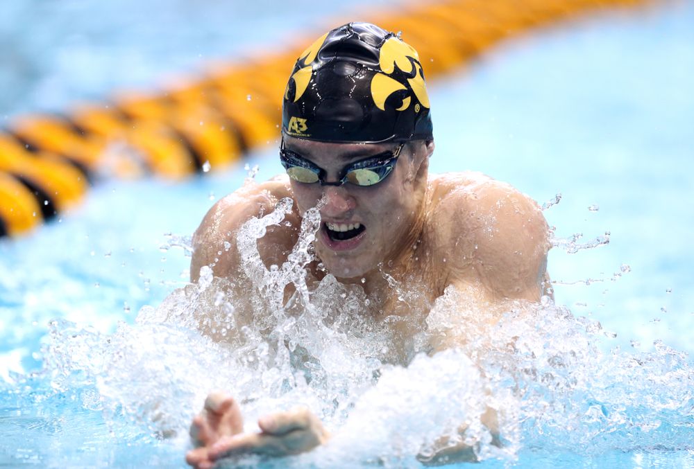 Iowa's Daniel Swanepoel competes in the 200-yard breaststroke during the 2019 Big Ten Men's Swimming and Diving Championships Saturday, March 2, 2019 at the Campus Wellness and Recreation Center. (Brian Ray/hawkeyesports.com)