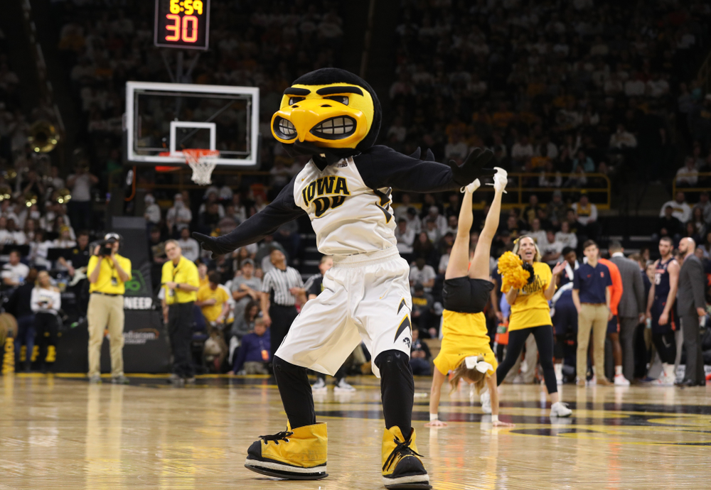 Herky The Hawk as the Iowa Hawkeyes take on the Illinois Fighting Illini Sunday, January 20, 2019 at Carver-Hawkeye Arena. (Brian Ray/hawkeyesports.com)
