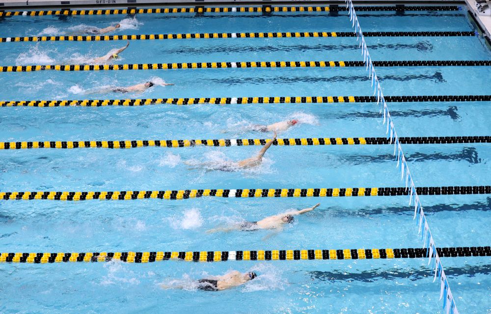 Iowa's Kenneth Mende competes in the 200-yard backstroke during the 2019 Big Ten Men's Swimming and Diving Championships Saturday, March 2, 2019 at the Campus Wellness and Recreation Center. (Brian Ray/hawkeyesports.com)