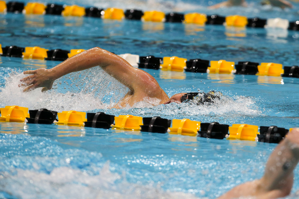 Iowa’s Mateusz Arndt during Iowa swim and dive vs Minnesota on Saturday, October 26, 2019 at the Campus Wellness and Recreation Center. (Lily Smith/hawkeyesports.com)