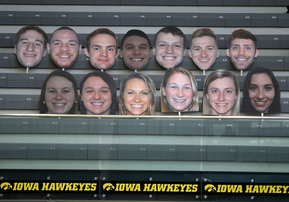 Fat Heads of the Hawkeye Swimming and Diving seniors during a double dual against Wisconsin and Northwestern Saturday, January 19, 2019 at the Campus Recreation and Wellness Center. (Brian Ray/hawkeyesports.com)