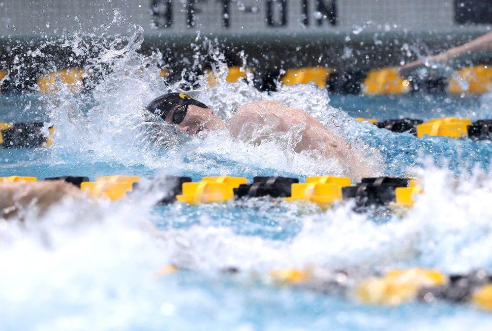 Iowa's Michal Brzus competes in the 100-yard freestyle during the 2019 Big Ten Men's Swimming and Diving Championships Saturday, March 2, 2019 at the Campus Wellness and Recreation Center. (Brian Ray/hawkeyesports.com)