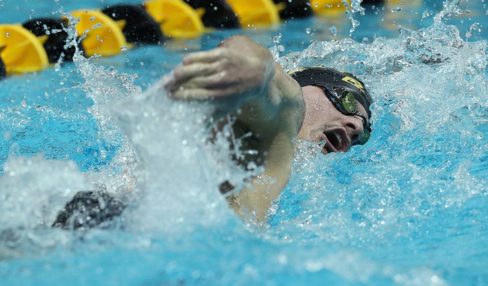 Iowa's Tom Schab swims the 500 yard freestyle Thursday, November 15, 2018 during the 2018 Hawkeye Invitational at the Campus Recreation and Wellness Center. (Brian Ray/hawkeyesports.com)
