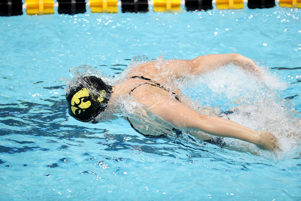 IowaÕs Lauren McDougall swims the butterfly leg of the 200 Medley Relay against Notre Dame and Illinois Saturday, January 11, 2020 at the Campus Recreation and Wellness Center. (Brian Ray/hawkeyesports.com)
