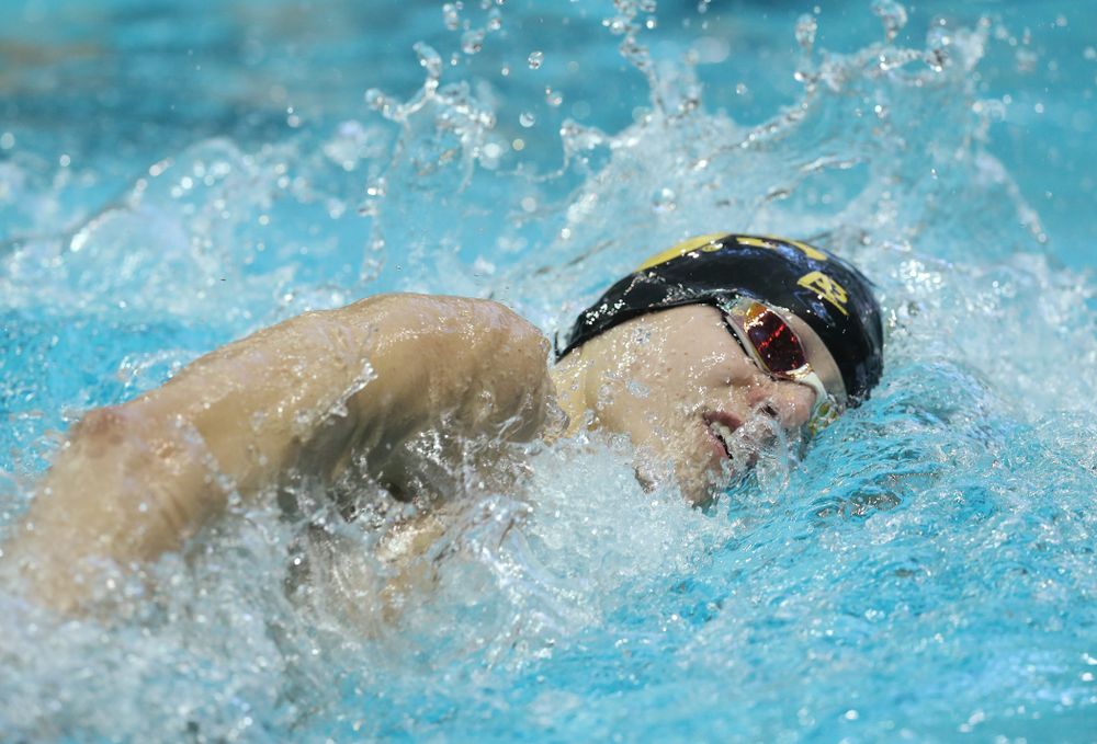 Iowa's Andrew Fierke swims the 500 yard freestyle Thursday, November 15, 2018 during the 2018 Hawkeye Invitational at the Campus Recreation and Wellness Center. (Brian Ray/hawkeyesports.com)