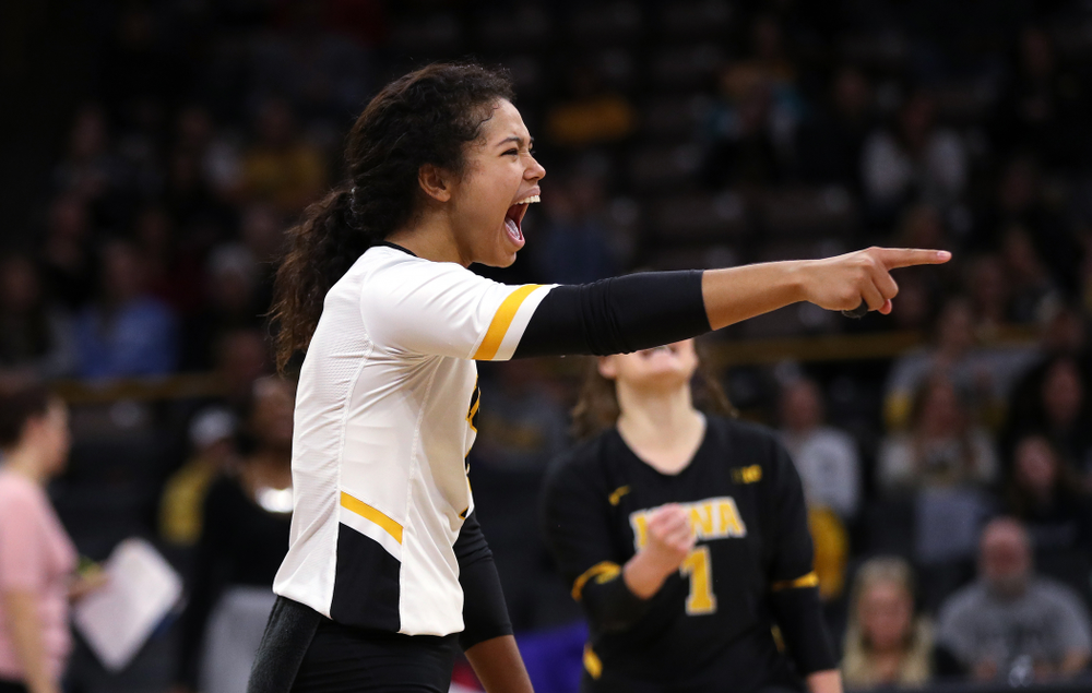 Iowa Hawkeyes setter Gabrielle Orr (7) against the Ohio State Buckeyes Saturday, November 24, 2018 at Carver-Hawkeye Arena. (Brian Ray/hawkeyesports.com)