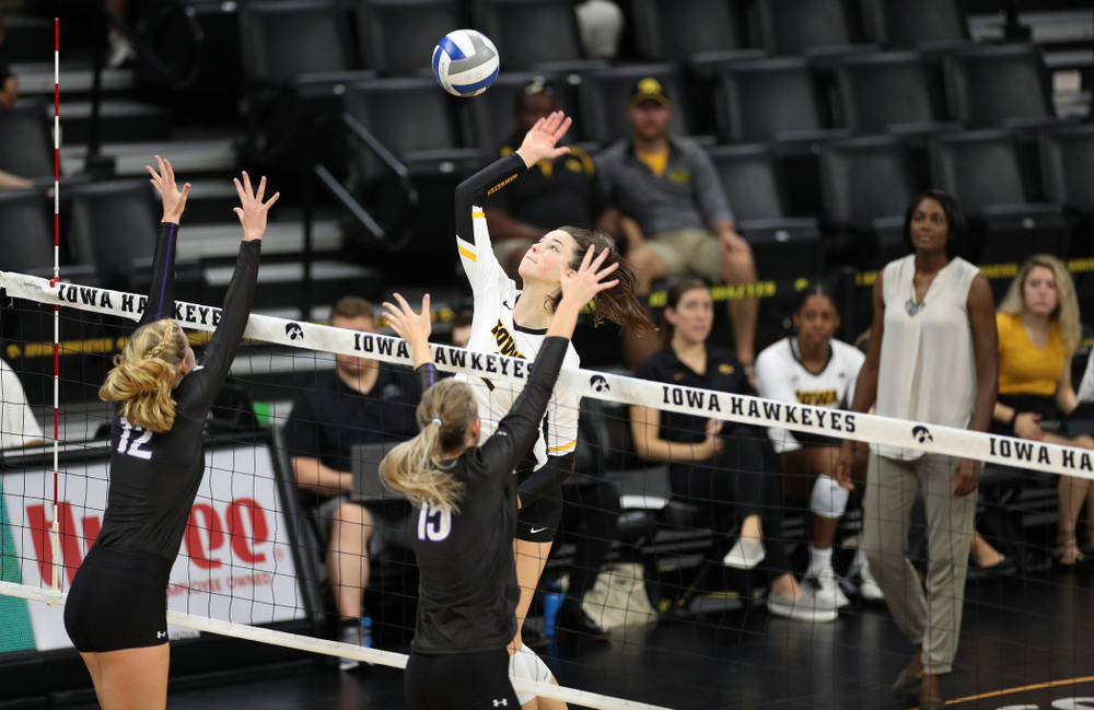 Iowa Hawkeyes setter Courtney Buzzerio (2) against Lipscomb Friday, September 20, 2019 at Carver-Hawkeye Arena. (Brian Ray/hawkeyesports.com)