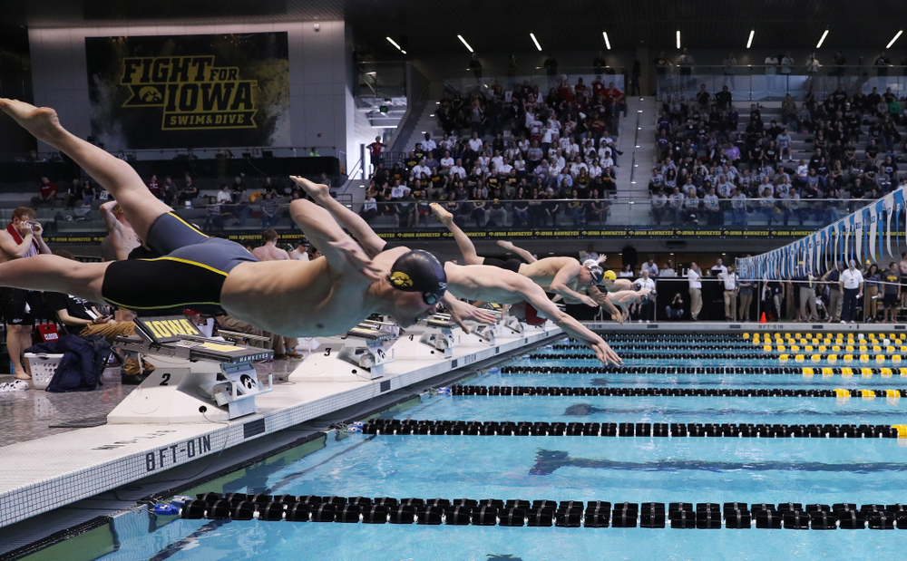 Iowa's Mateusz Arndt competes in the 200-yard freestyle on the third day at the 2019 Big Ten Swimming and Diving Championships Thursday, February 28, 2019 at the Campus Wellness and Recreation Center. (Brian Ray/hawkeyesports.com)