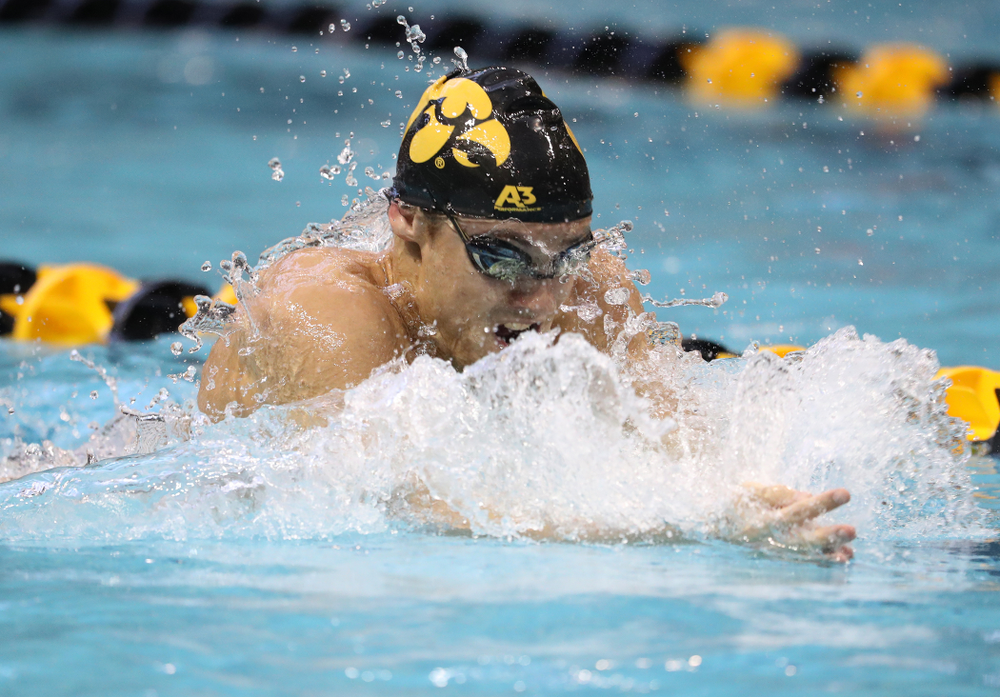 Iowa's Daniel Swanepoel swims the breaststroke leg of the 200 yard medley relay during a double dual against Wisconsin and Northwestern Saturday, January 19, 2019 at the Campus Recreation and Wellness Center. (Brian Ray/hawkeyesports.com)