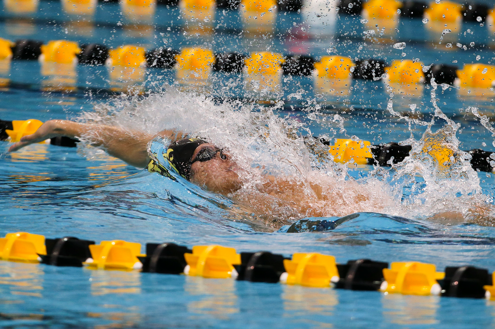 Iowa’s Preston Planells during Iowa swim and dive vs Minnesota on Saturday, October 26, 2019 at the Campus Wellness and Recreation Center. (Lily Smith/hawkeyesports.com)