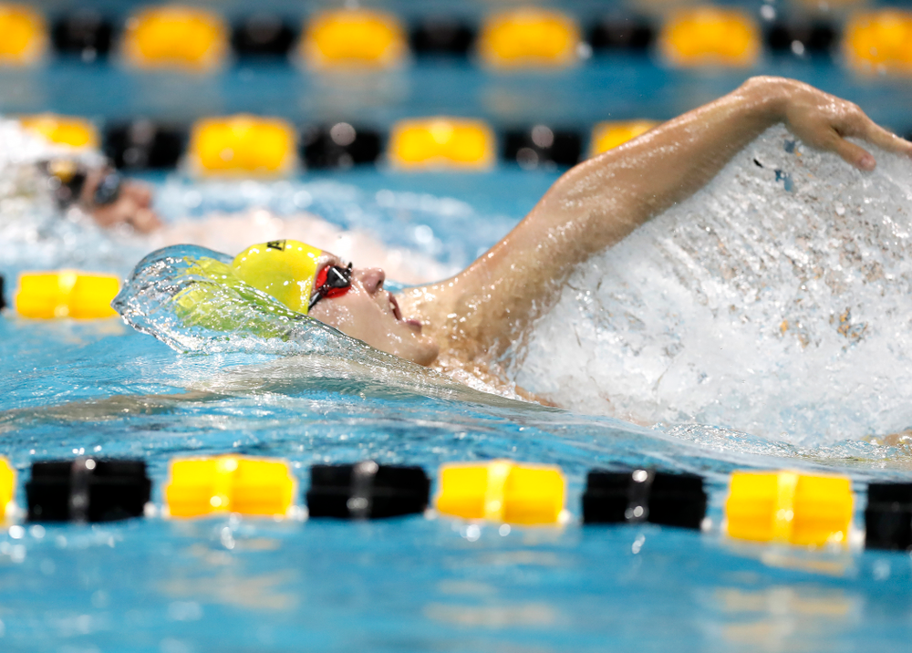 Anze Fers Erzen swims the 200 yard IM during the Black and Gold Intrasquad Saturday, September 29, 2018 at the Campus Recreation and Wellness Center. (Brian Ray/hawkeyesports.com)