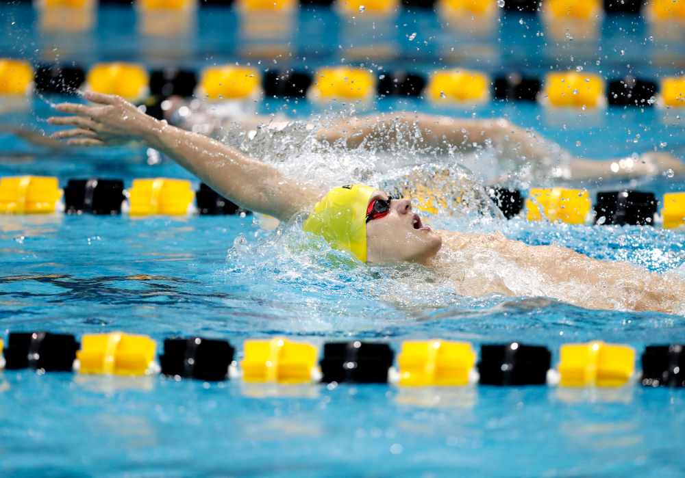 Anze Fers Erzen swims the 100 yard backstroke during the Black and Gold Intrasquad Saturday, September 29, 2018 at the Campus Recreation and Wellness Center. (Brian Ray/hawkeyesports.com)