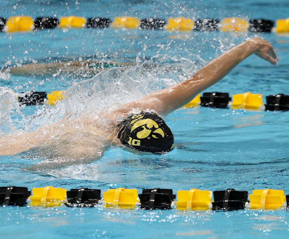 Iowa’s Michael Tenney swims his section of the men’s 200-yard freestyle relay event during their meet against Michigan State at the Campus Recreation and Wellness Center in Iowa City on Thursday, Oct 3, 2019. (Stephen Mally/hawkeyesports.com)
