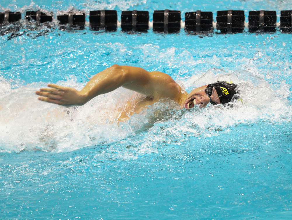 IowaÕs Mateusz Arndt competes in the 200 yard freestyle against Notre Dame and Illinois Saturday, January 11, 2020 at the Campus Recreation and Wellness Center. (Brian Ray/hawkeyesports.com)