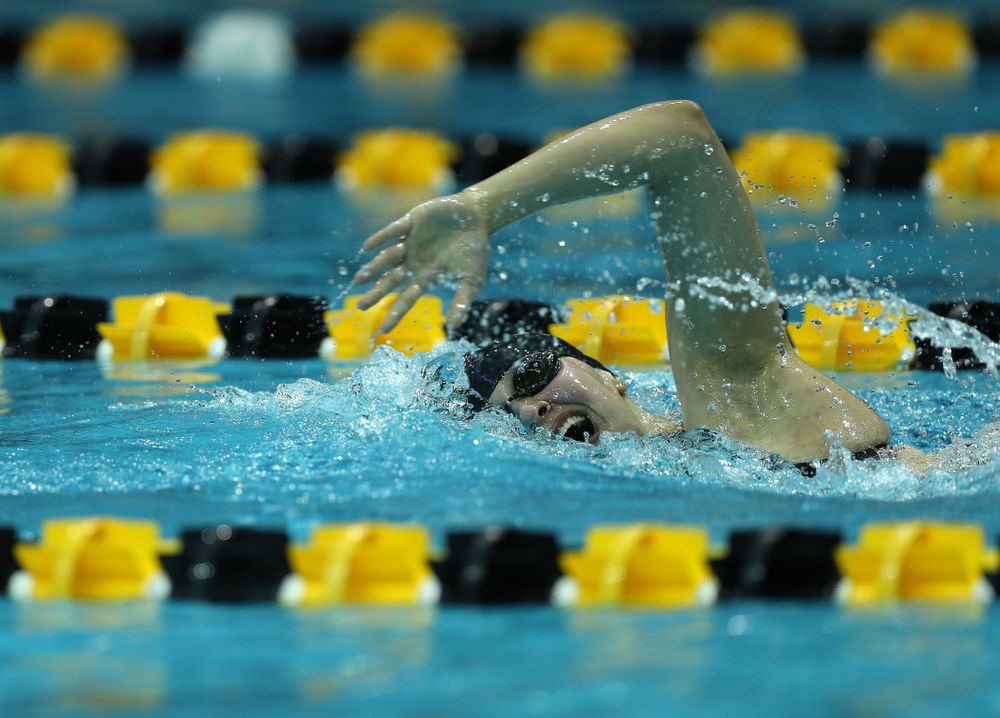 Iowa's Hannah Burvill swims the 500 Yard Freestyle Thursday, November 15, 2018 during the 2018 Hawkeye Invitational at the Campus Recreation and Wellness Center. (Brian Ray/hawkeyesports.com)