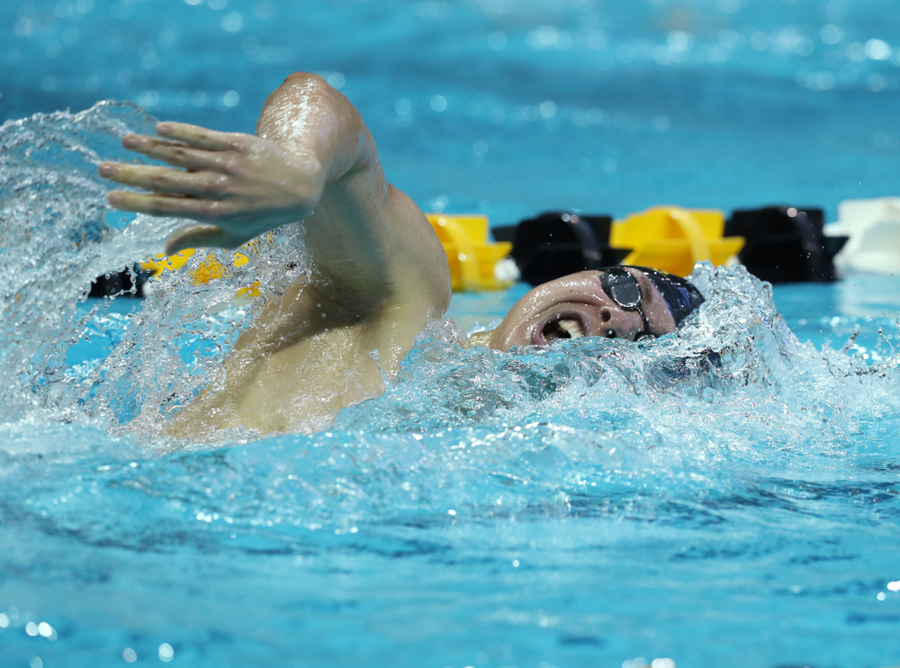 Iowa's Mateusz Arndt swims the 500 yard freestyle Thursday, November 15, 2018 during the 2018 Hawkeye Invitational at the Campus Recreation and Wellness Center. (Brian Ray/hawkeyesports.com)