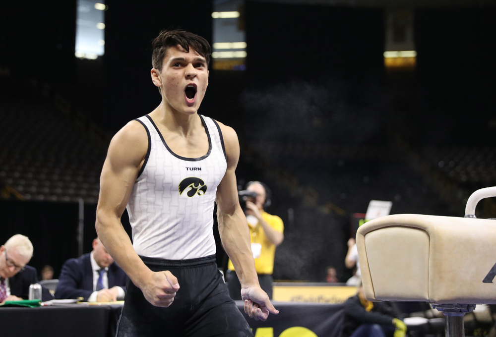 Iowa's Ethan Davis competes on the pommel horse against UIC and Minnesota Saturday, February 2, 2019 at Carver-Hawkeye Arena. (Brian Ray/hawkeyesports.com)
