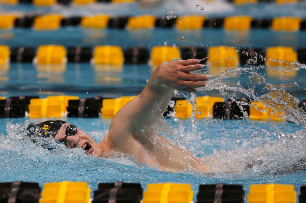 Iowa's B team at the 1,650-yard freestyle race Saturday, March 2, 2019 at the Campus Recreation and Wellness Center. (Lily Smith/hawkeyesports.com)