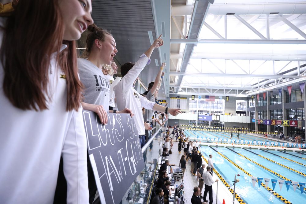Fans cheer during the 2019 Big Ten Men's Swimming and Diving Championships Saturday, March 2, 2019 at the Campus Wellness and Recreation Center. (Brian Ray/hawkeyesports.com)
