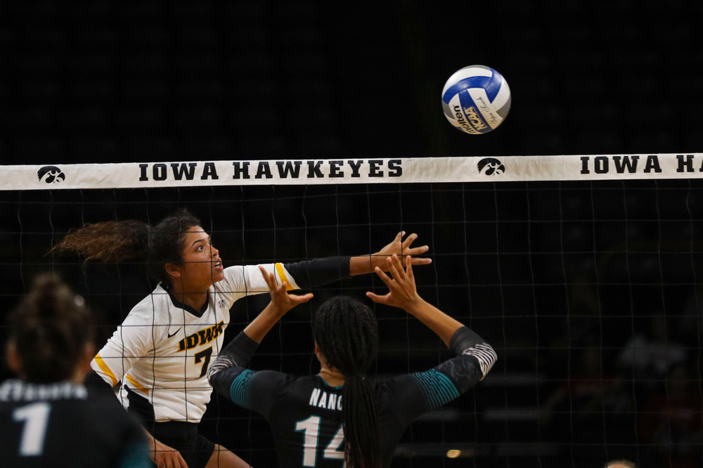 Iowa Hawkeyes setter Brie Orr (7) against Coastal Carolina Friday, September 20, 2019 at Carver-Hawkeye Arena. (Lily Smith/hawkeyesports.com)