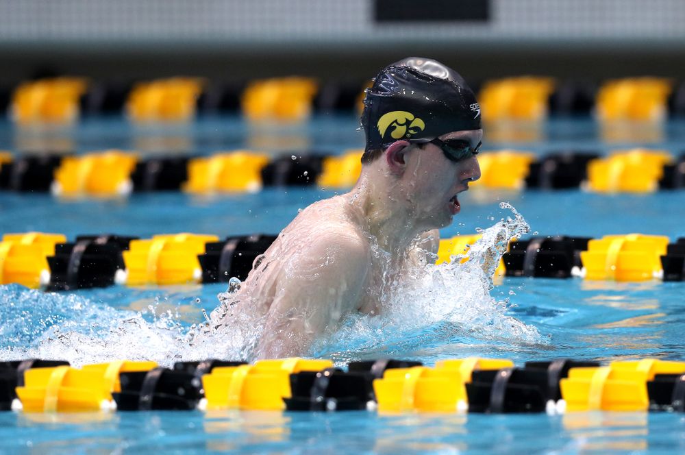 Iowa's Dolan Craine competes in the 200-yard breaststroke during the 2019 Big Ten Men's Swimming and Diving Championships Saturday, March 2, 2019 at the Campus Wellness and Recreation Center. (Brian Ray/hawkeyesports.com)