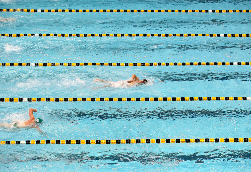 Iowa’s Mateus Arndt leads the field in the men’s 1000-yard freestyle event during their meet against Michigan State and Northern Iowa at the Campus Recreation and Wellness Center in Iowa City on Friday, Oct 4, 2019. (Stephen Mally/hawkeyesports.com)