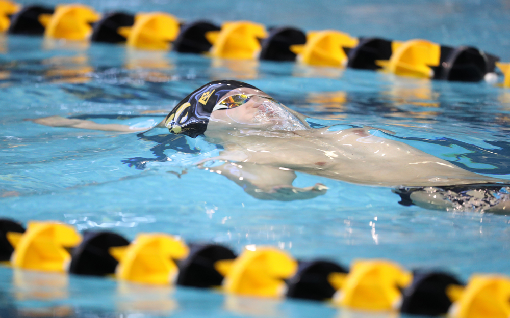 Iowa's Anze Fers Erzen swims the backstroke leg of the 200 yard medley relay during a double dual against Wisconsin and Northwestern Saturday, January 19, 2019 at the Campus Recreation and Wellness Center. (Brian Ray/hawkeyesports.com)