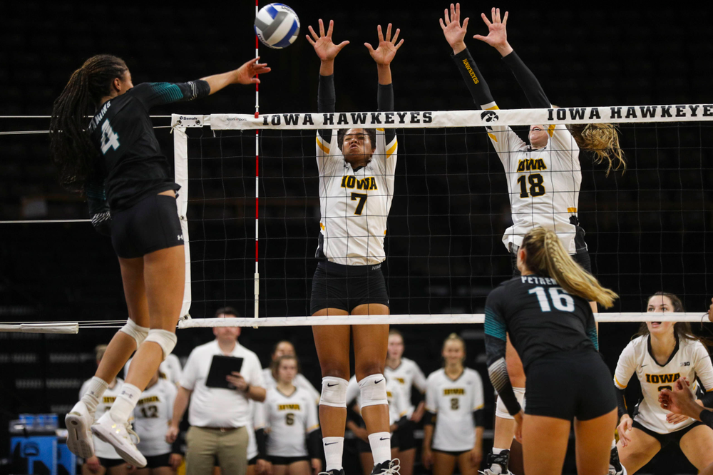 Iowa Hawkeyes setter Brie Orr (7) and Iowa Hawkeyes middle blocker Hannah Clayton (18) against Coastal Carolina Friday, September 20, 2019 at Carver-Hawkeye Arena. (Lily Smith/hawkeyesports.com)
