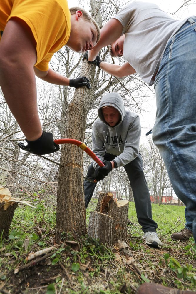 Members of the Hawkeye Football team volunteer with the Iowa City Public Works department along the Iowa River during the annual Iowa Athletics Day of Caring Sunday, April 28, 2019 in Iowa City. (Brian Ray/hawkeyesports.com)