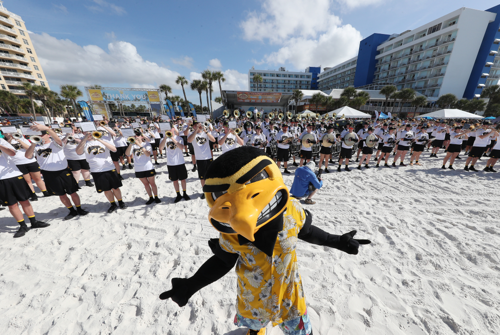 Herky The Hawk and the Hawkeye Marching Band during the Outback Bowl Beach Day Sunday, December 30, 2018 at Clearwater Beach. (Brian Ray/hawkeyesports.com)