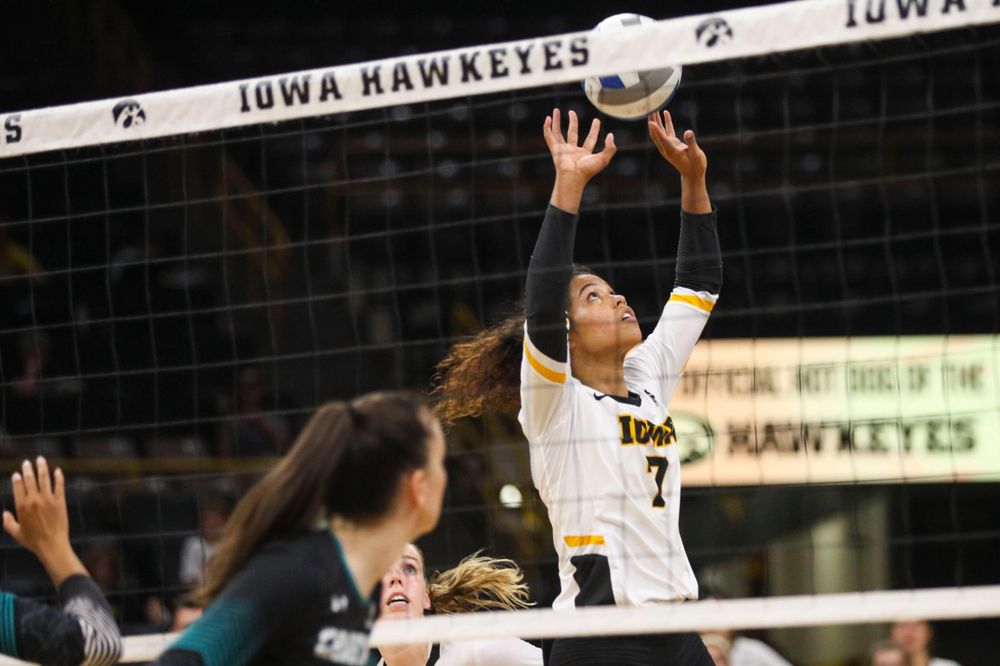 Iowa Hawkeyes setter Brie Orr (7) against Coastal Carolina Friday, September 20, 2019 at Carver-Hawkeye Arena. (Lily Smith/hawkeyesports.com)