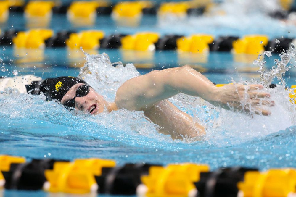 Iowa's B team at the 1,650-yard freestyle race Saturday, March 2, 2019 at the Campus Recreation and Wellness Center. (Lily Smith/hawkeyesports.com)