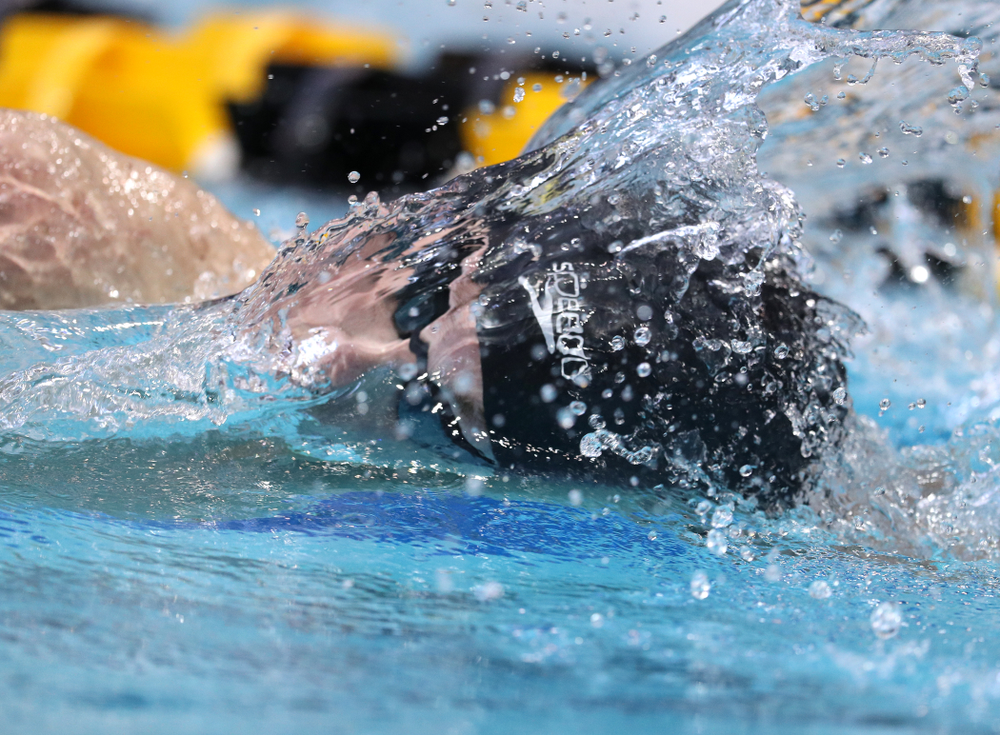 Iowa's Mateusz Arndt swims in the preliminaries of the 500-yard freestyle during the 2019 Big Ten Swimming and Diving Championships Thursday, February 28, 2019 at the Campus Wellness and Recreation Center. (Brian Ray/hawkeyesports.com)
