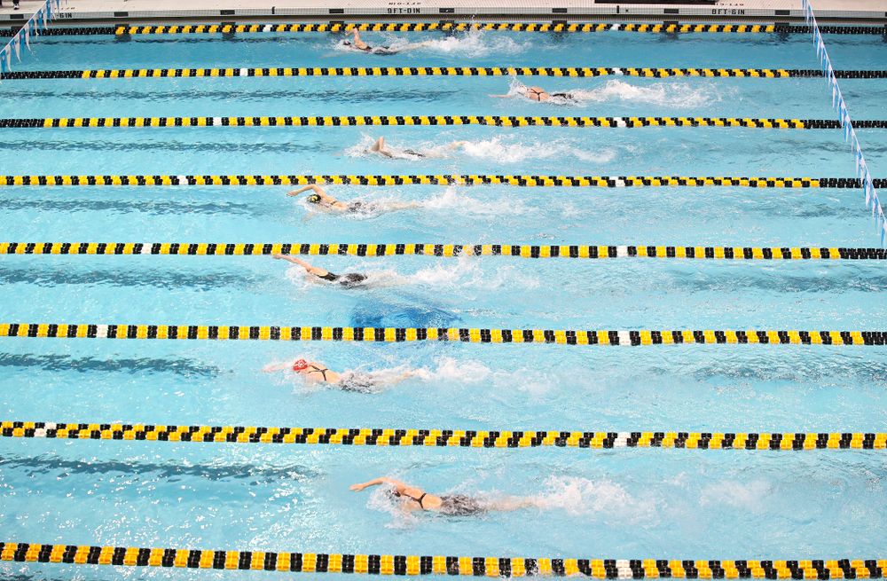 Iowa’s Allyssa Fluit (lane 3) and Hannah Burvill (lane 4) swim the women’s 200 yard freestyle preliminary event during the 2020 Women’s Big Ten Swimming and Diving Championships at the Campus Recreation and Wellness Center in Iowa City on Friday, February 21, 2020. (Stephen Mally/hawkeyesports.com)