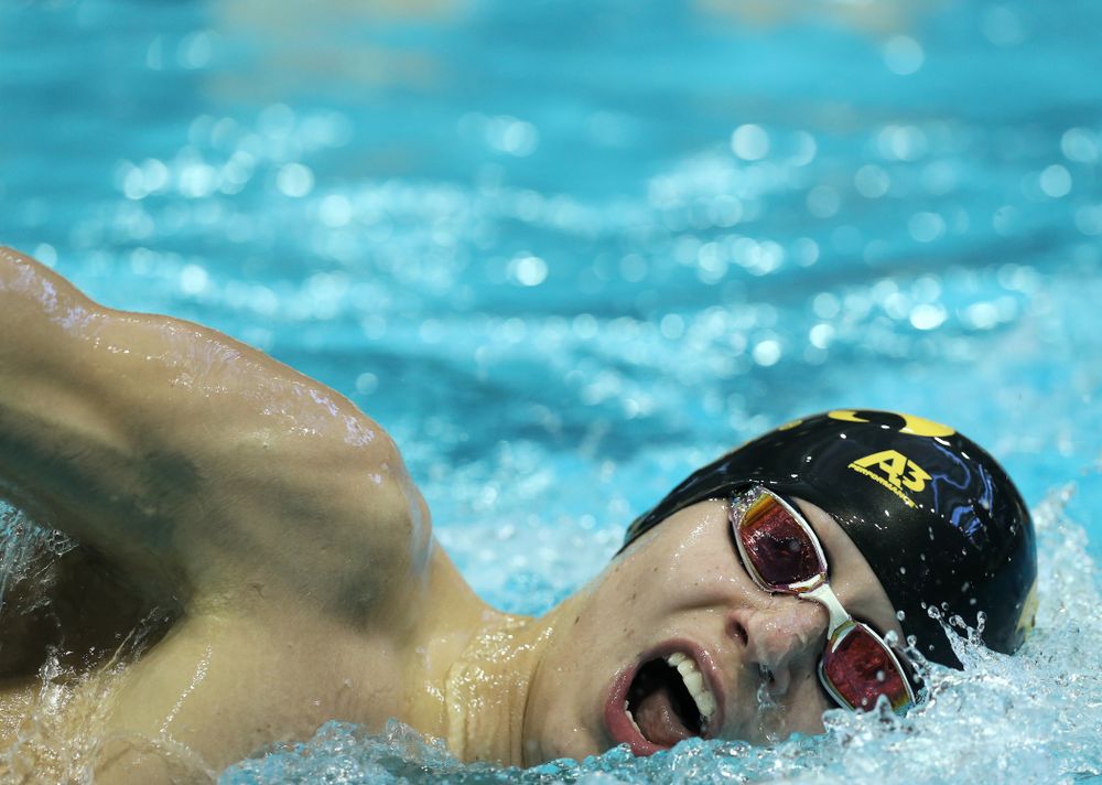 Iowa's Andrew Fierke swims the 500 yard freestyle Thursday, November 15, 2018 during the 2018 Hawkeye Invitational at the Campus Recreation and Wellness Center. (Brian Ray/hawkeyesports.com)