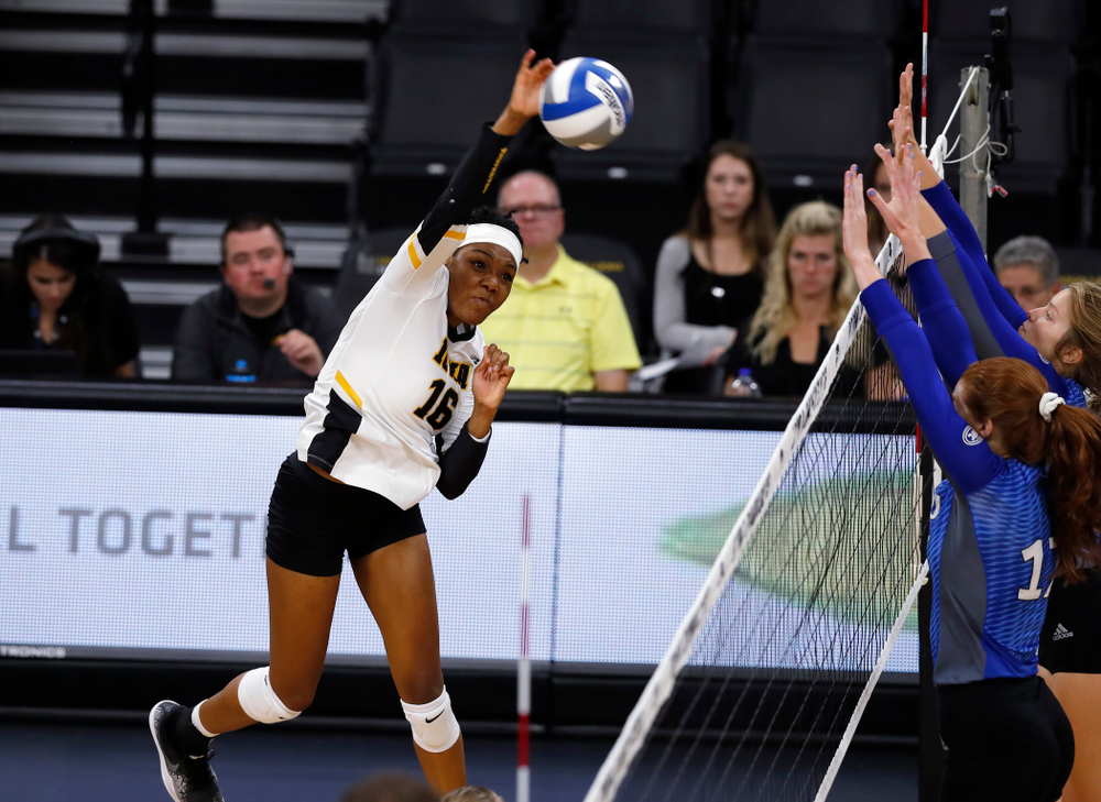 Iowa Hawkeyes outside hitter Taylor Louis (16) against Eastern Illinois Sunday, September 9, 2018 at Carver-Hawkeye Arena. (Brian Ray/hawkeyesports.com)