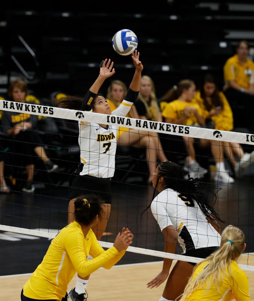 Iowa Hawkeyes setter Gabrielle Orr (7) against the Michigan Wolverines Sunday, September 23, 2018 at Carver-Hawkeye Arena. (Brian Ray/hawkeyesports.com)